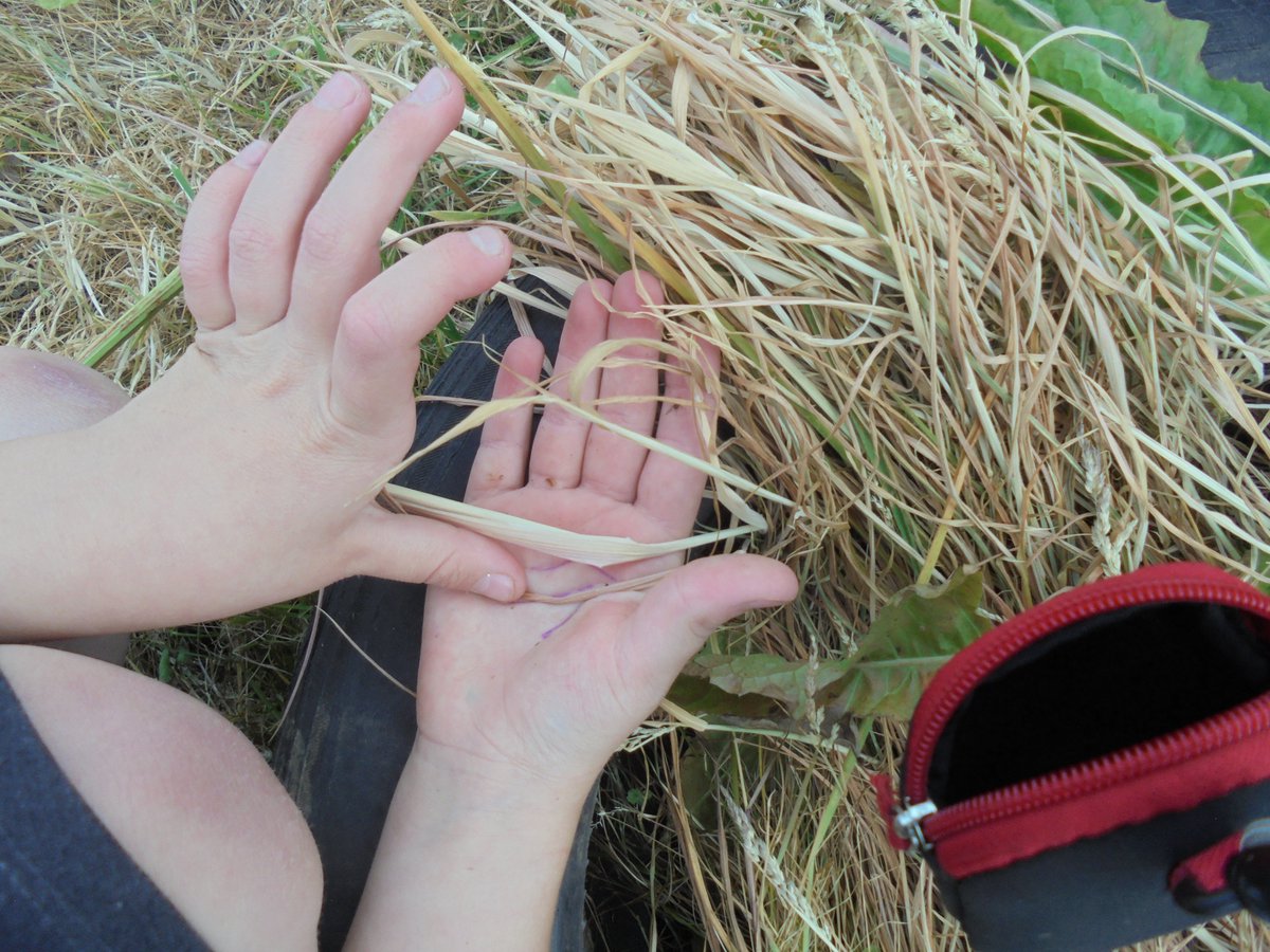 ErringtonPrimary tweet media