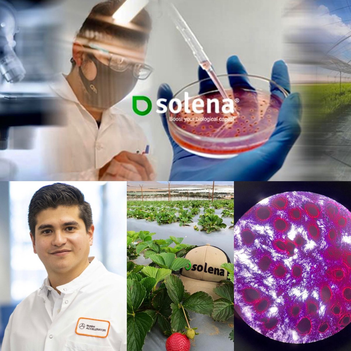 carlos_glezgtez's tweet photo. “@CerracapV, a Global Venture Capital fund headquartered in Southern California, has announced an investment in SolenaAG, a soil microbiome startup helping farmers improve agricultural yields &amp; optimize input costs” @Solena_global is a Mexican company, exhibiting in #BIO2022 https://t.co/fBJbUCcPzv