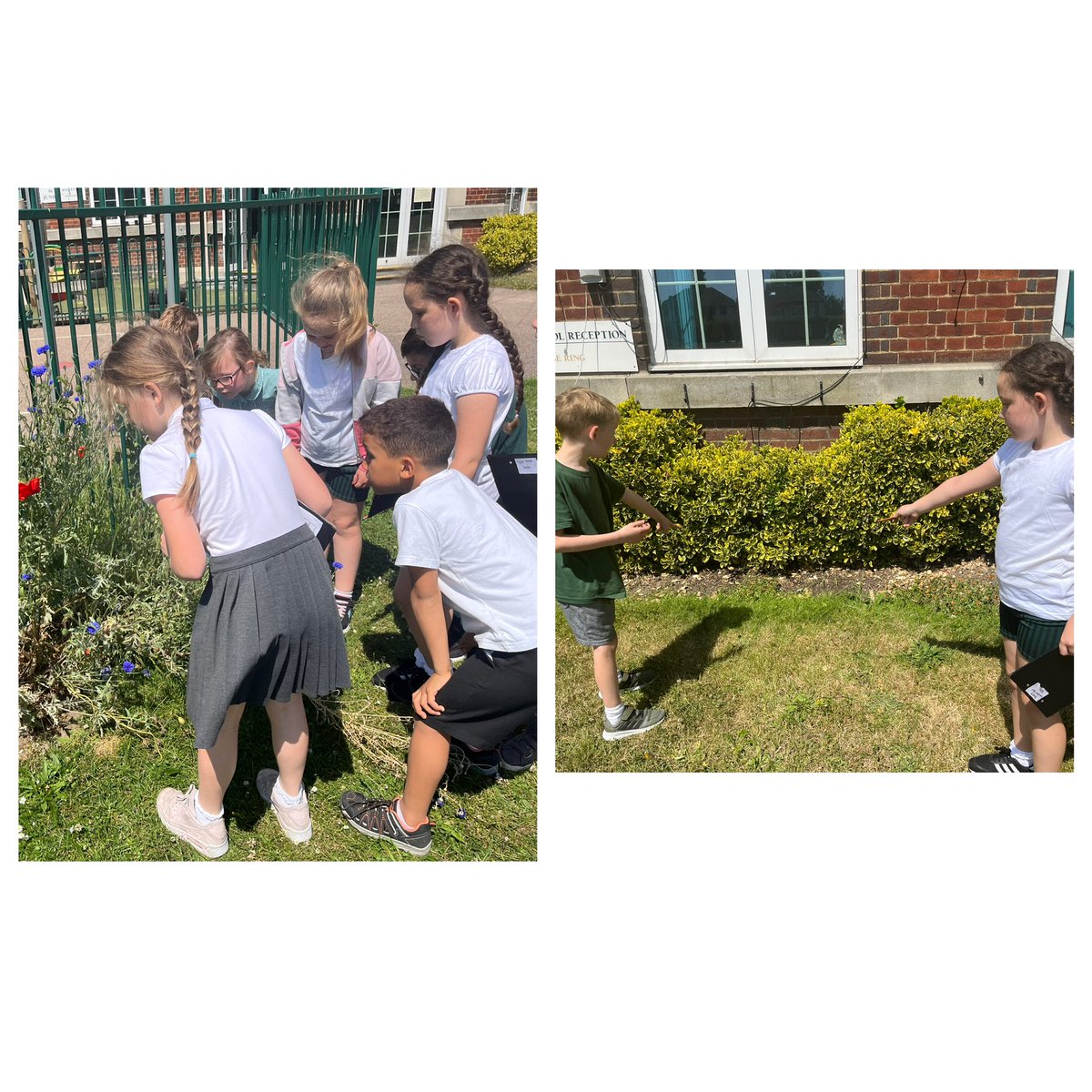 Sage class enjoyed their first science lesson on our new topic…habitats! We went outside to see if we could find any creatures and then discussed which habitats they can be found in 😀🐜🐝🦋🕷