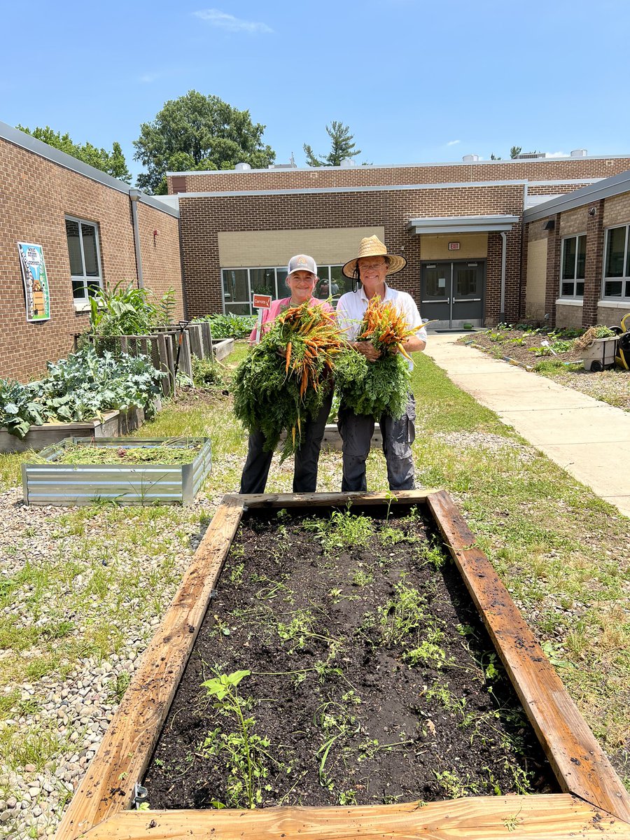 Hollin Meadows Garden tweet media