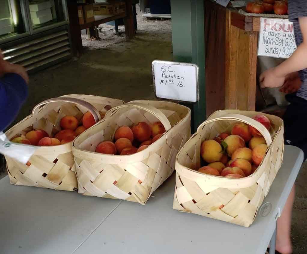 KingsFarmMarket's tweet photo. Sure smells like summer is right around the corner! 👀🍑
-
https://t.co/qPbB9kdtmh
.
.
#KingsFarmMarket #EdistoIsland #SouthCarolina #CertifiedSC #FarmMarket #FarmGrown #HealthIsWealth #ShopLocal https://t.co/dISnnammPQ