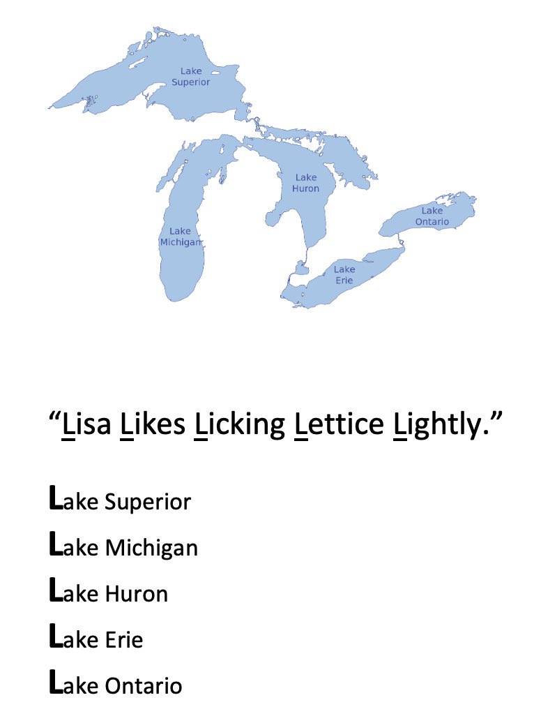Mnemonic device to remember the Great Lakes.