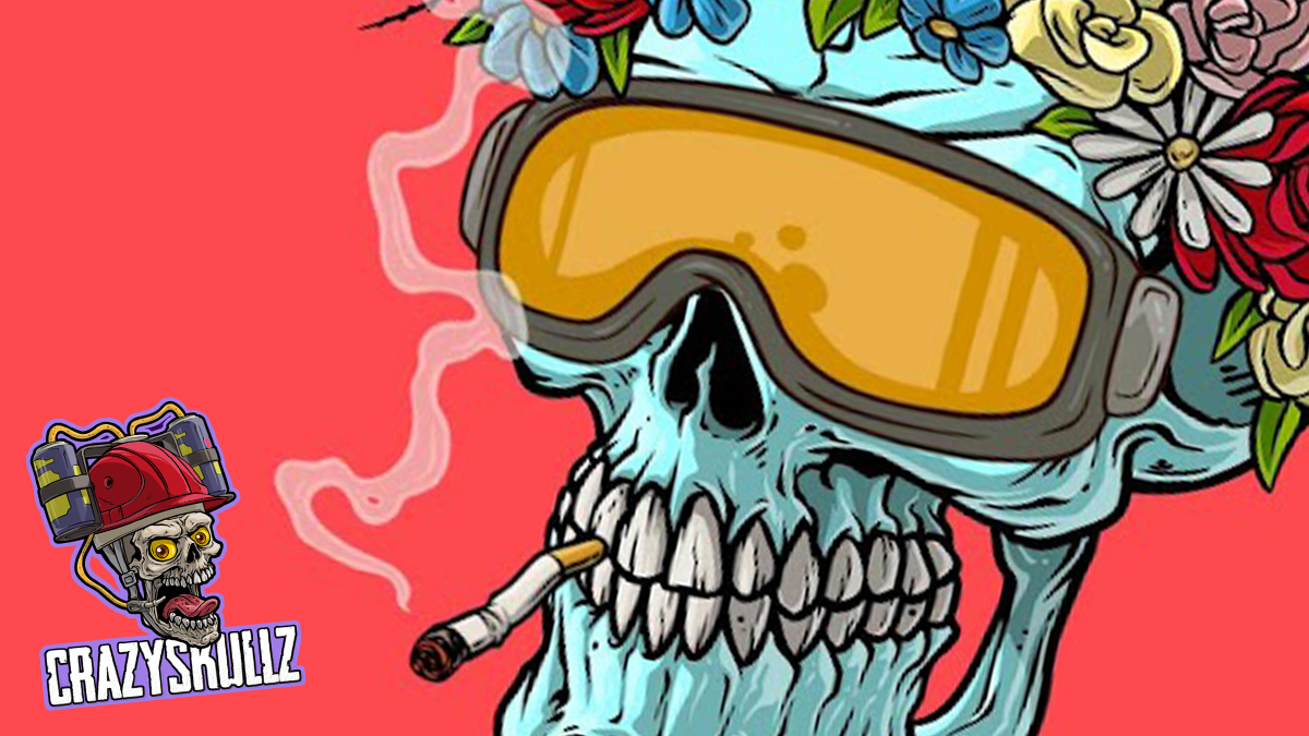 Crazy Skullz Saga ☢️ tweet media