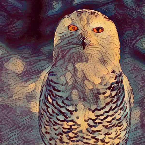 1-1-0 tweet media