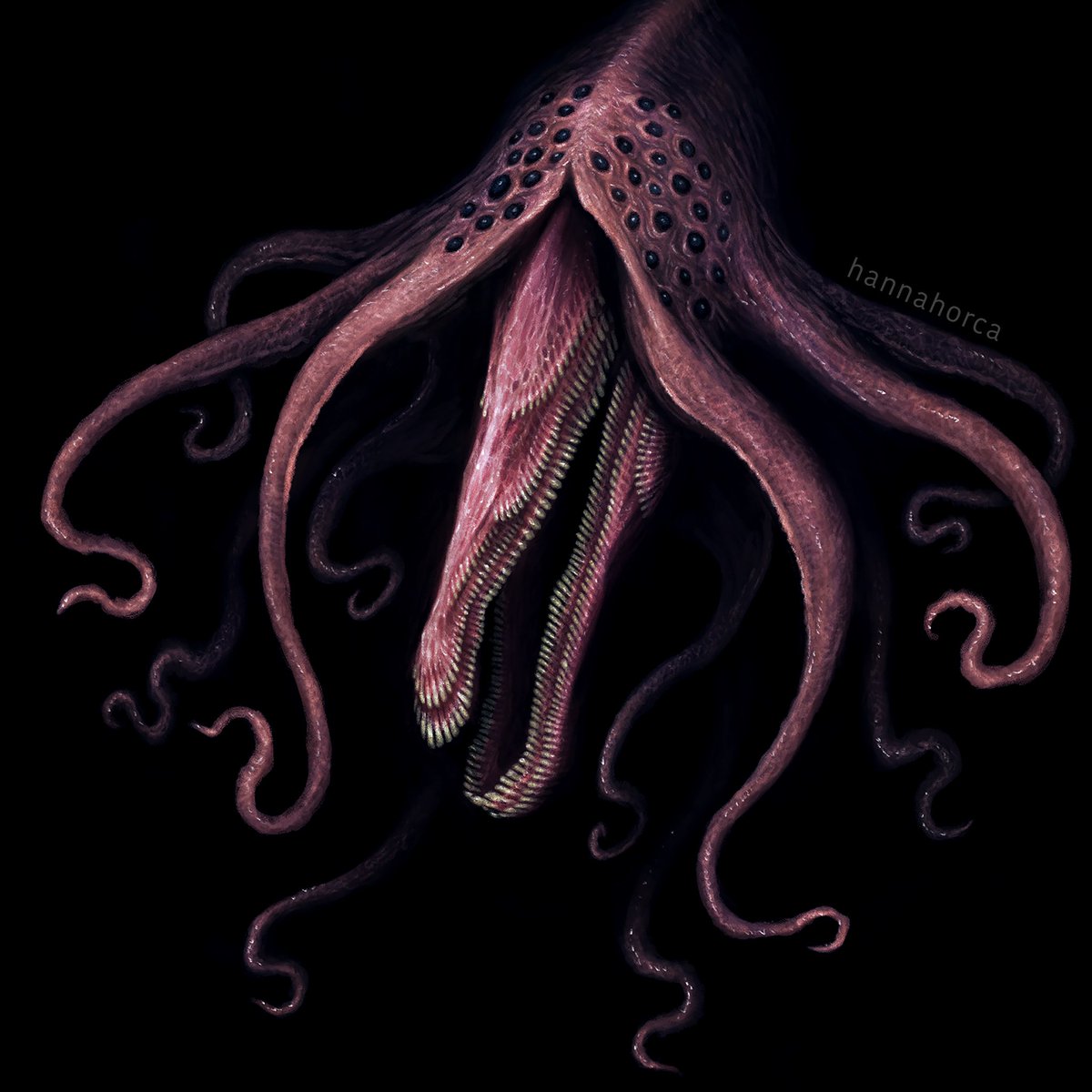 Hannah Comstock tweet media