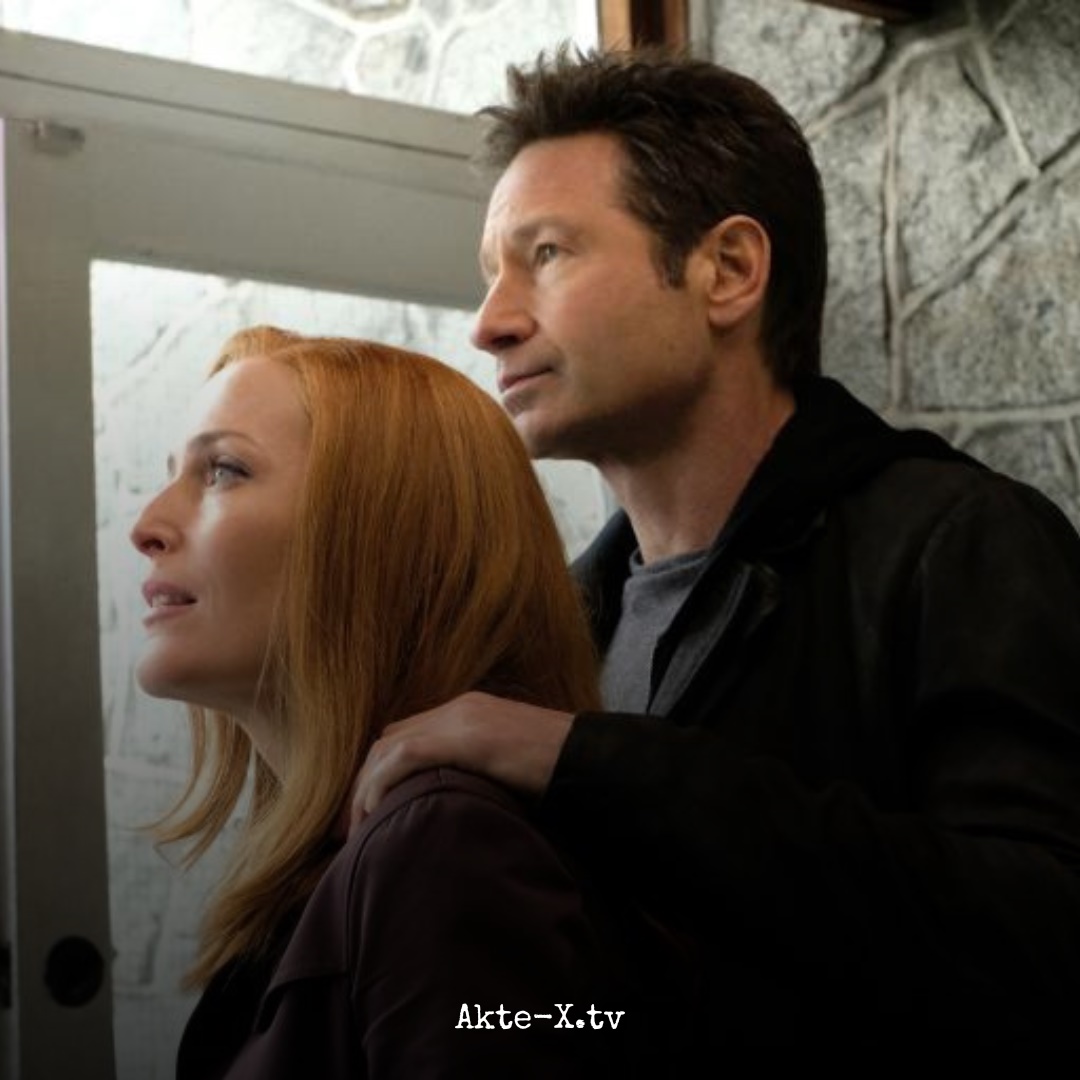 akteXtv's tweet photo. Gemeinsam durch alle Zeiten.

#aktex #xfiles #thexfiles #mystery #gilliananderson #davidduchovny #scully #mulder #mulderandscully #x #tv #xfilesforever
© 2016 Fox and its related entities. All rights reserved. https://t.co/LeTeePgYXy