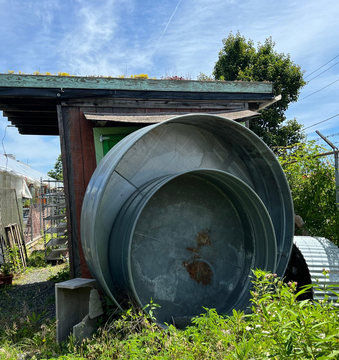 We are halfway to the weekend! Stop in to #Greensgrow today for all your local produce, fresh veggies, and pantry goods needs — And make an offer for these! 

We guarantee it will make your week go faster.😜🌱 #SeeYouThere #FreshVeggies #Farm #Garden #HappyWednesday #SupportLocal