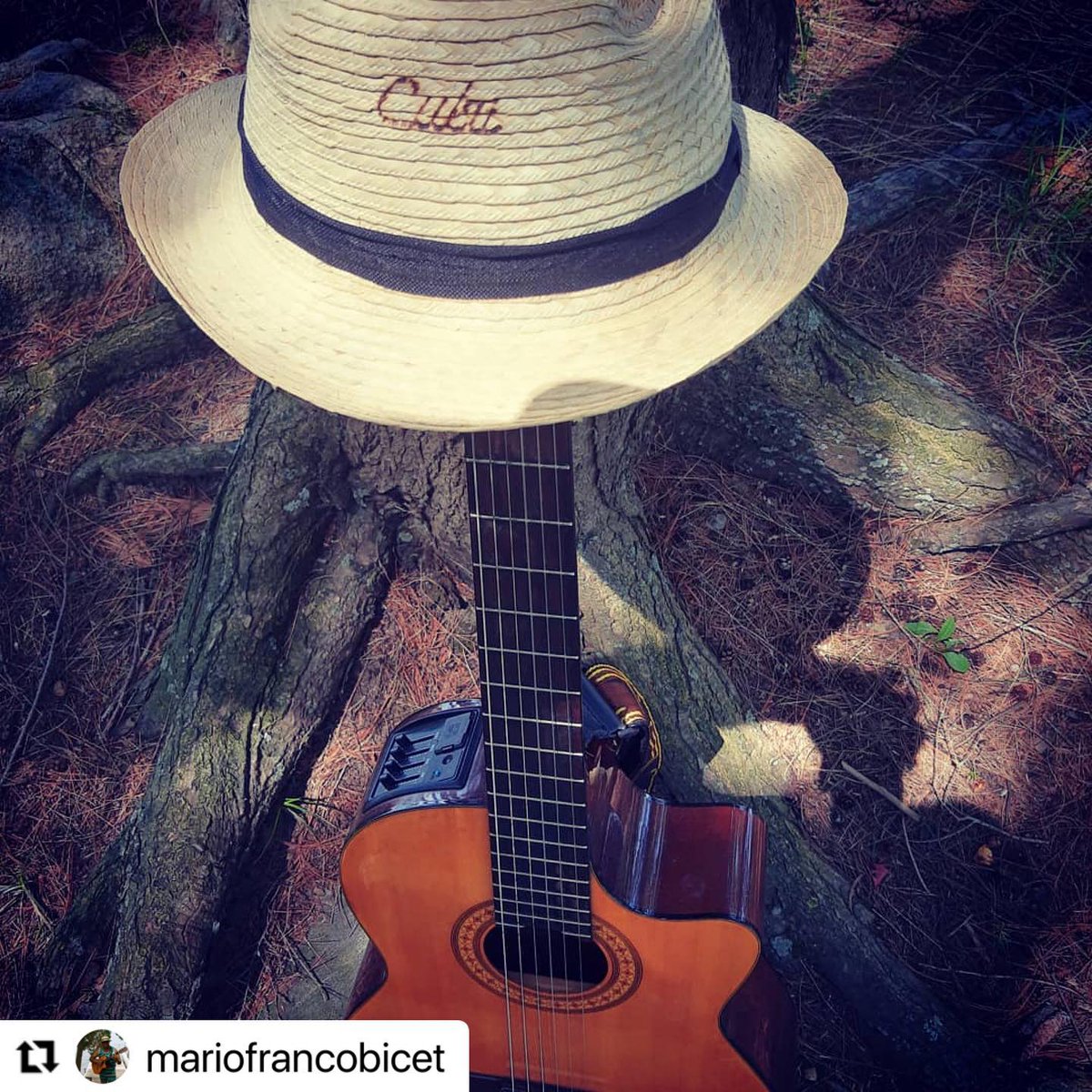 Join us this Friday for a hot night full of the cool sounds of Mario Franco Bicet, 6:00 to 9:00pm. Reserve at wharfandfeather.com. #wharfandfeather #patiovibes😎 #hikingstonwaterfront