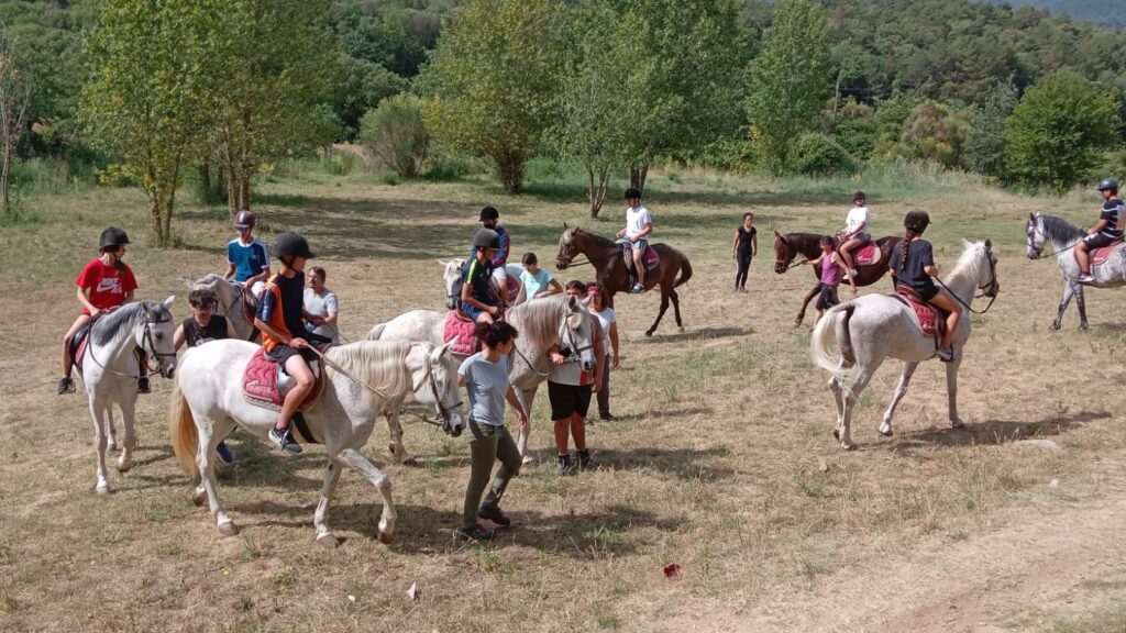 L’alumnat de 1r d’ESO està gaudint d’uns dies de diversió i aprenentatge al Pla de l’Estany. Mireu que bé que s’ho passen.