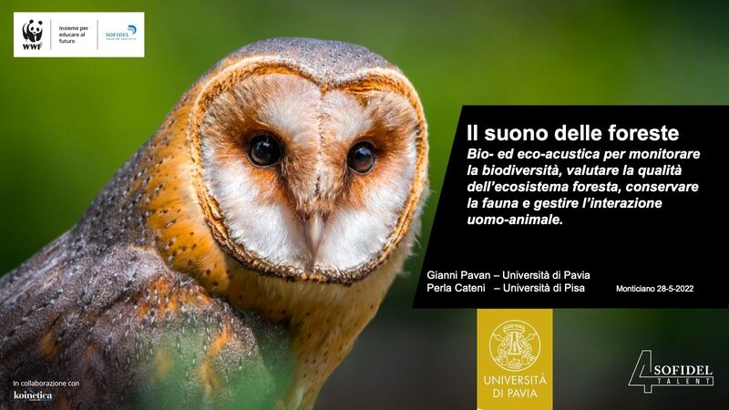 xla700's tweet photo. Monticiano (SI), 27-29/05/2022
Corso di formazione applicata in conservazione e gestione forestale
Grazie a Gianni Pavan #UNIPV, #WWFItalia #Sofidel per aver dato visibilità e sostegno al progetto di tesi magistrale che sto svolgendo
#bioacustica #ecoacustica #Orecchiella #CIBRA https://t.co/sOtR7SgbaU