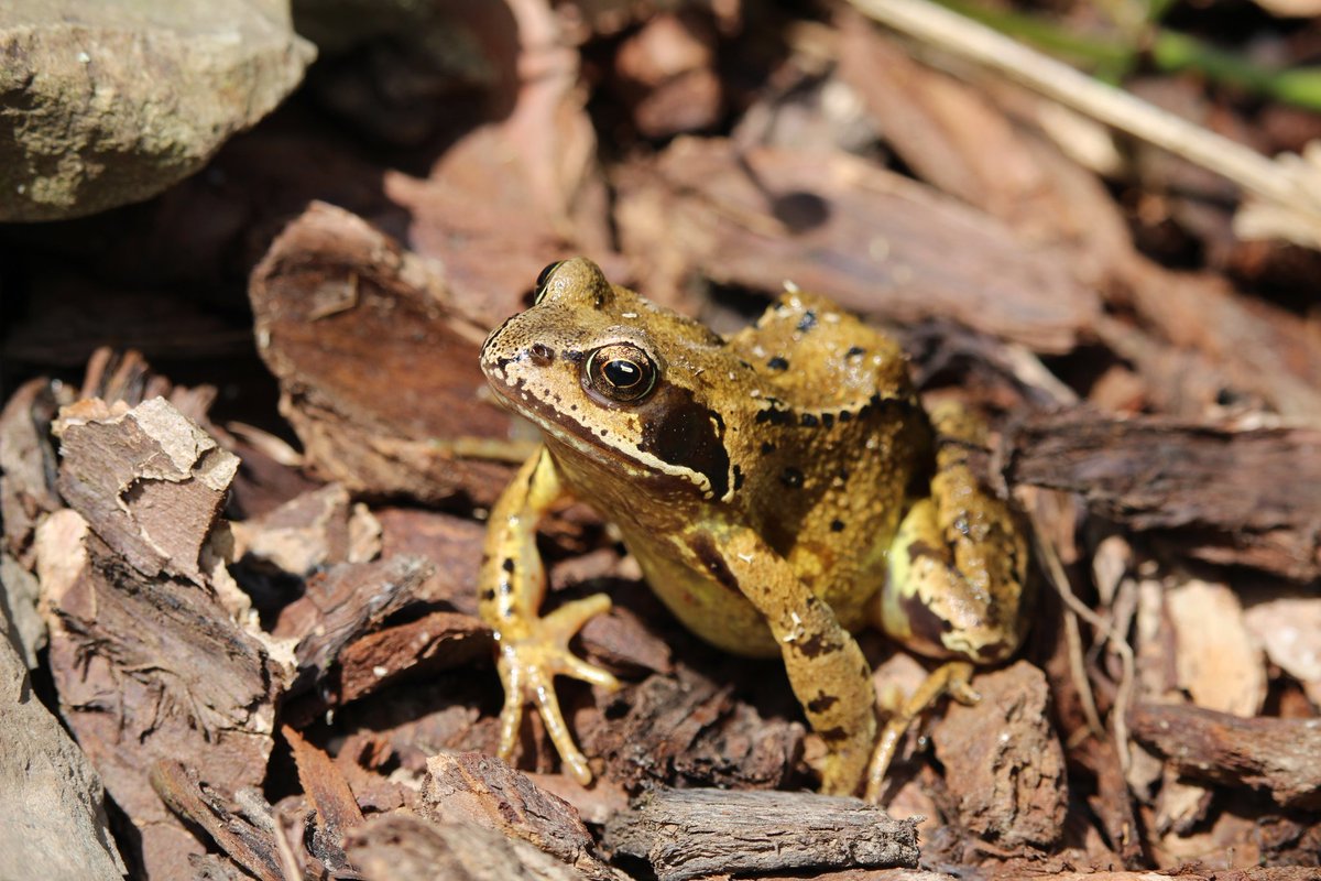 @SWTCLUN tweet media