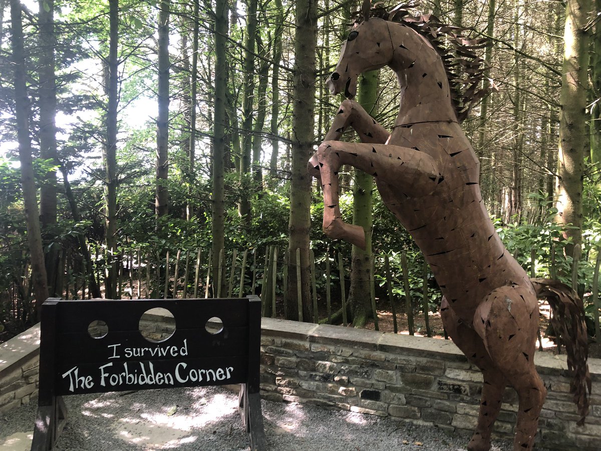 Craig Nattress tweet media