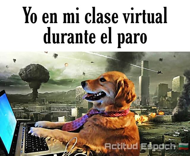 AliiiChancay's tweet photo. Clases Virtuales📚💻
#ParoNacional 
#UdeGuayaquil
#Pizzeandolanota
#AliciaChancayTumbaco https://t.co/o2oynACaeA
