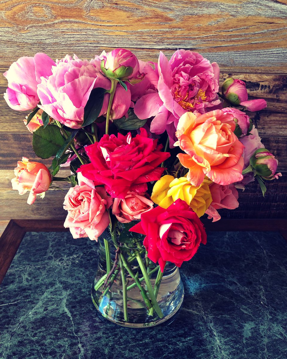AprilMac's tweet photo. #boise #zenbreak https://t.co/B5dN8t2BvR