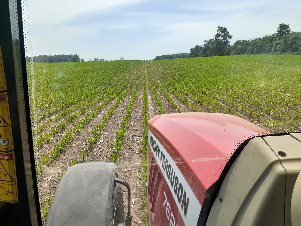 brytfarms's tweet photo. Juicing some good looking corn. #keepitgrowing https://t.co/cwNUSvOU6J