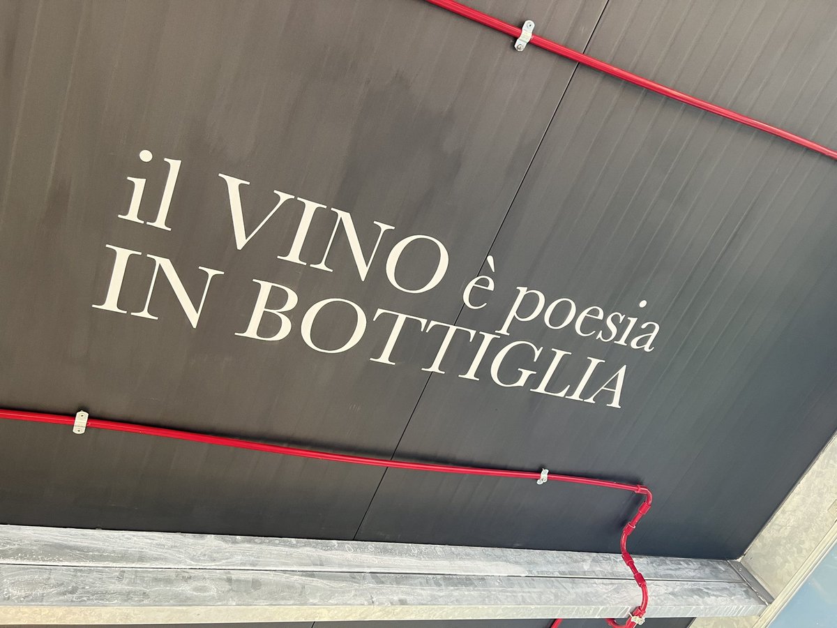 vinimalacari's tweet photo. #vinimalacari #malacarivinidelsalento #vinobuono #nzinumalvasiabianca
#malacarivinibuonipernatura #salento #winesalento #sommelier https://t.co/GxXoSsfrIe