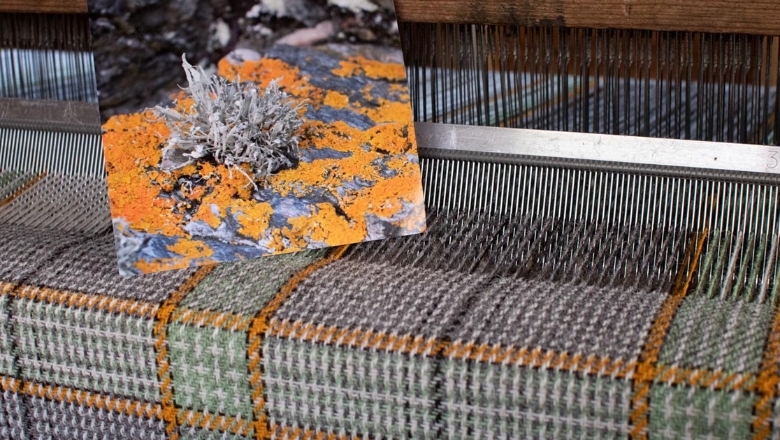 SkyeWeavers's tweet photo. Did I mention that I love lichen?! This new throw is inspired by a picture of my favourite Xanthoria parietina surrounding another lovely specimen known as sea ivory. #inspiredbynature #poweredbypedal #SkyeWool https://t.co/nEK9yi2bFy