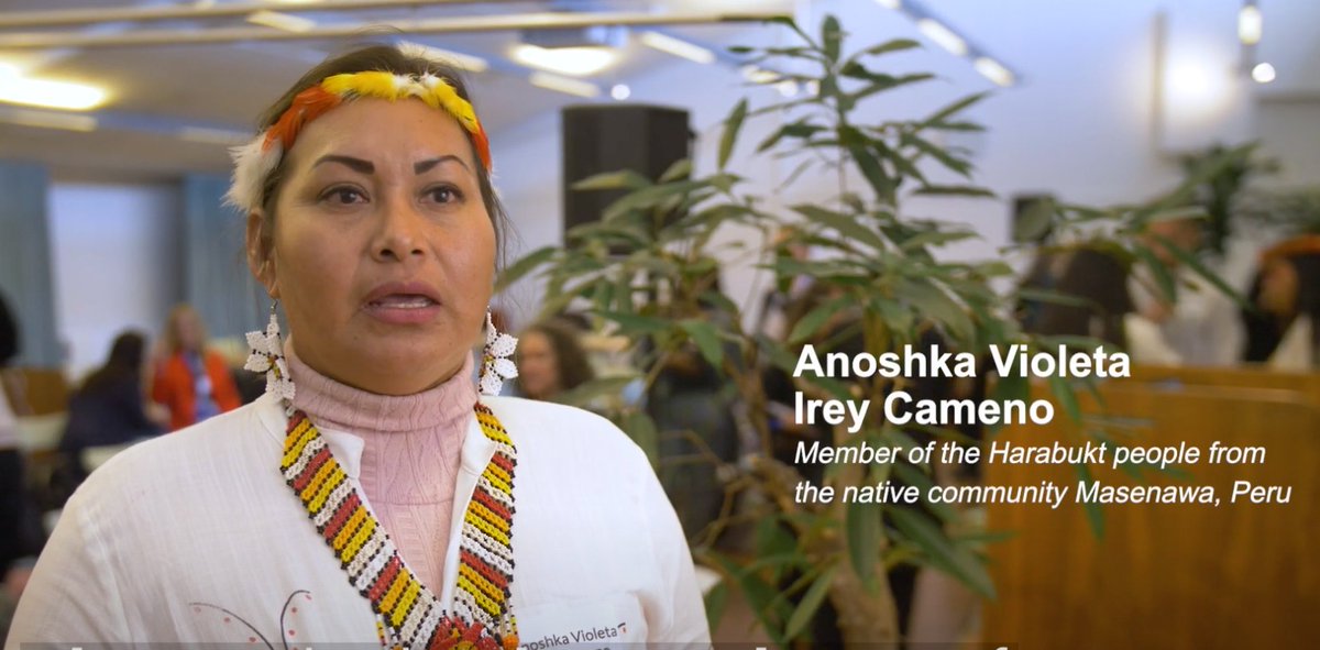 TenureFacility's tweet photo. "The need for Indigenous Territorial Security"- Interview with Harakbut leader Anoshka Violeta Irey Cameno as part of #Stockholm50 #ADayatSida #foodsecurity, co-organised by @TenureFacility https://t.co/0ElZQIokFo https://t.co/5s9dQv7Xu6