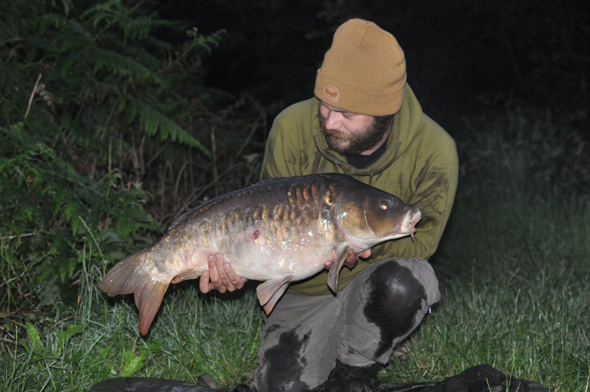 madferrit05's tweet photo. Been a while since I tweeted, so here's an pic from a few months ago of a nice old estate lake carp #carp #carpfishing #carpangling #fishing #angling #carpfishinguk #carpuk https://t.co/tT5Kn00BlN