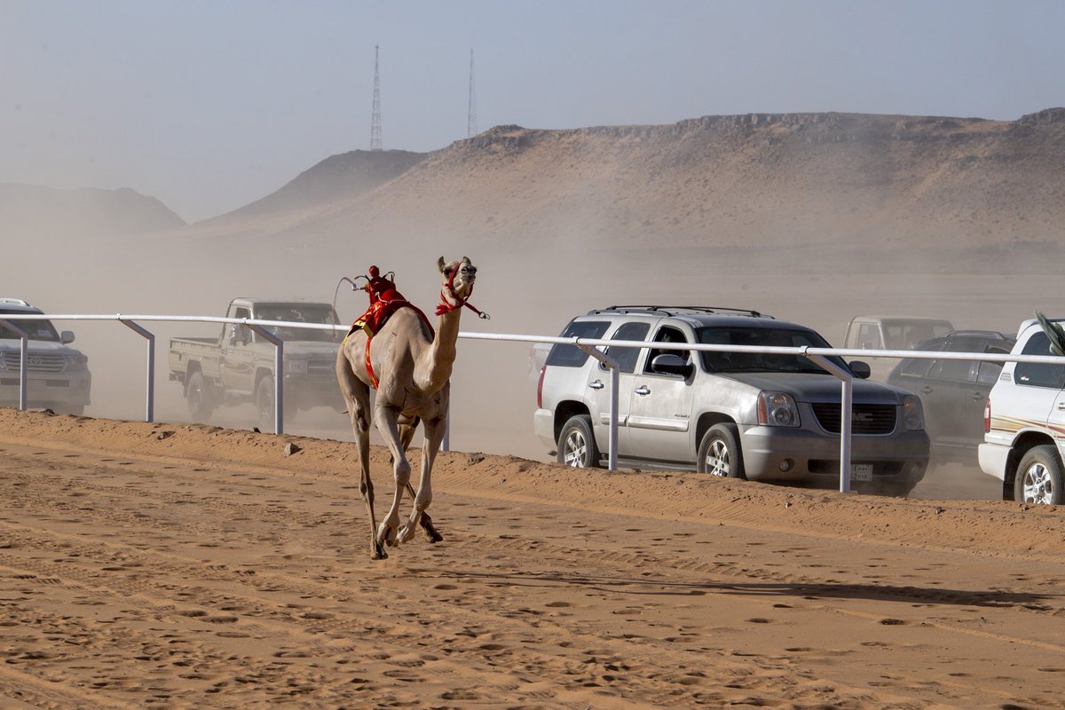 إمارة منطقة الجوف (@aljoufsa) on Twitter photo 