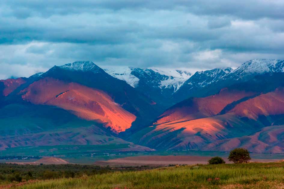 ancientorigins's tweet photo. A breakthrough multidisciplinary #research study has revealed the specific #location of the #origin of the Black Death in Central Asia. It also shows precisely when it started. https://t.co/LyOSLJqvut https://t.co/UKMBhj5qrX