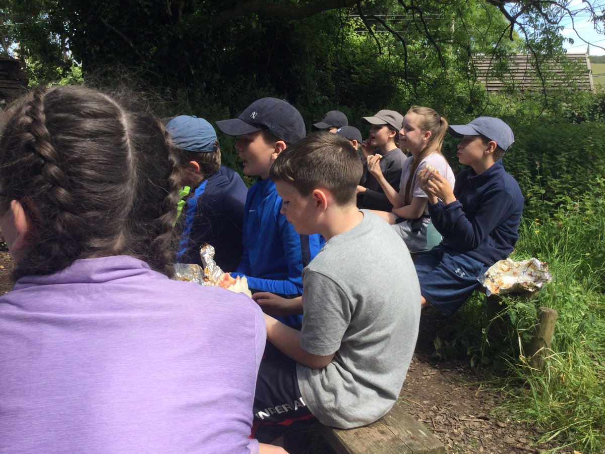 OLWPrimary tweet media