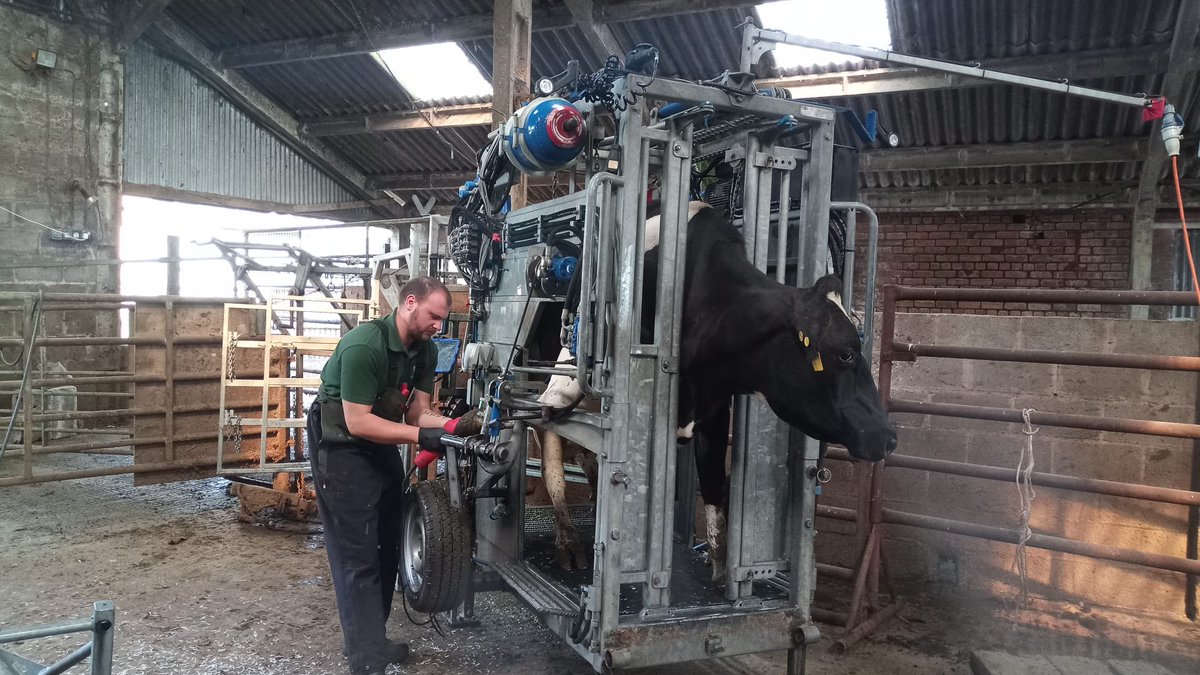 The_CHCSB's tweet photo. Great #StandardSettingDay up in Cheshire. These days give members the opportunity to trim alongside others, share knowledge & keep refreshed & up to date. It’s just one of the ways we support & mentor members of all levels #Standards #FootTrimming #CHCSB https://t.co/68iVBVH9OO