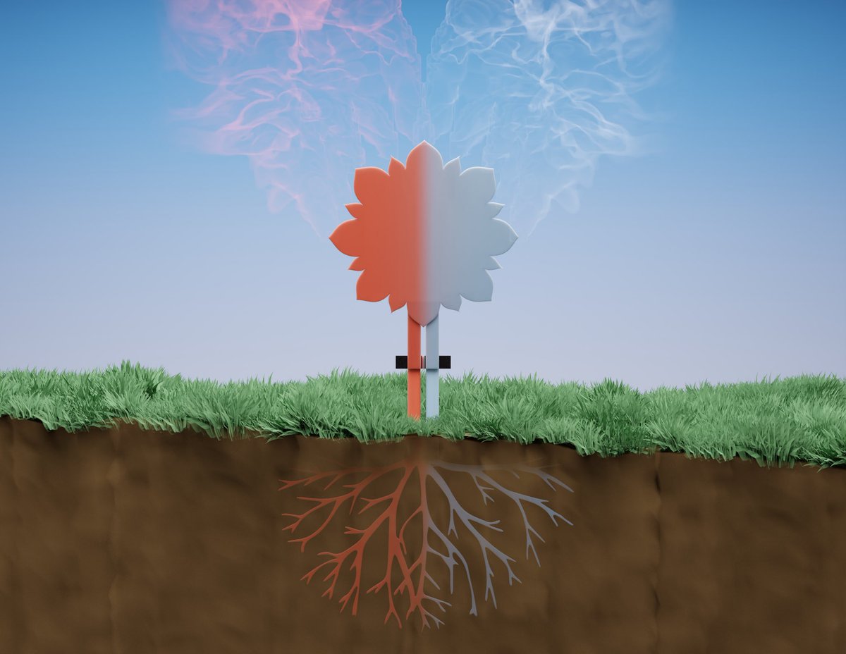 🔋 🌱 Our article “A plant-like battery: a biodegradable power source ecodesigned for precision agriculture” is now available open access @EES_journal. First publication from <a href="/Bideko_Project/">BIDEKO</a>. Very proud of the team! 
#biodegradable #batteries #battchat 

doi.org/10.1039/D2EE00…
