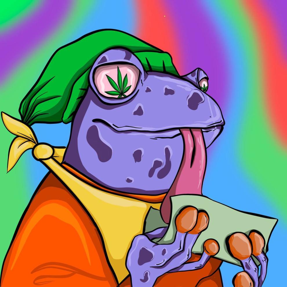 TheStonedFrogs's tweet photo. AGAIN: DON'T FOMO WHILE WE HOP 🐸 #RIBBIT https://t.co/1PQQmrS9aA