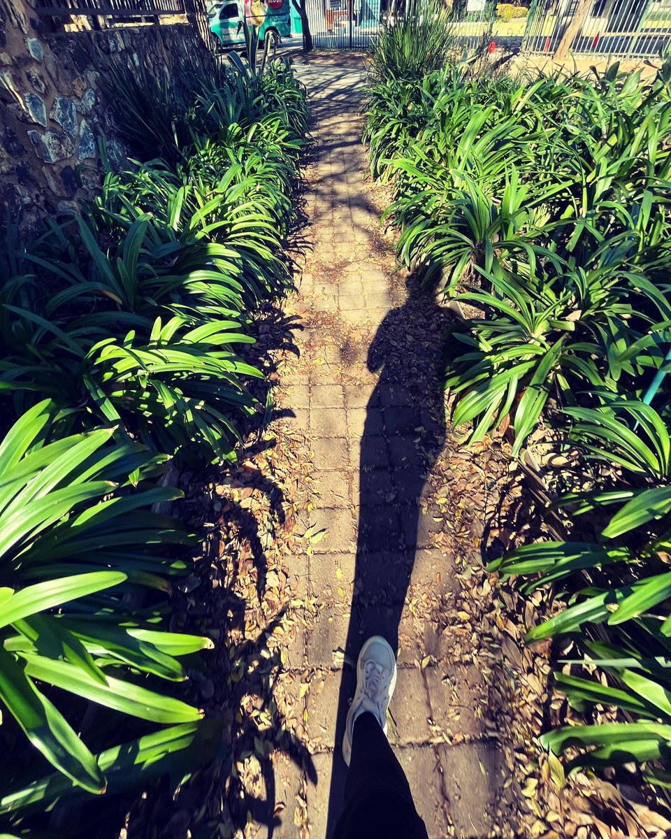 Neeksie's tweet photo. I heard rumours of a cold front, so I grabbed an opportunity to soak up some sun before I hibernate. It’s beautiful seeing the greenery peeking out between the autumn colours. ☀️🍁🍂

#afternoonrun 
#soakingupthesun 
#healthyhabits 
#outdoors 
#manifestingmybestlife https://t.co/RGBHApXFnP