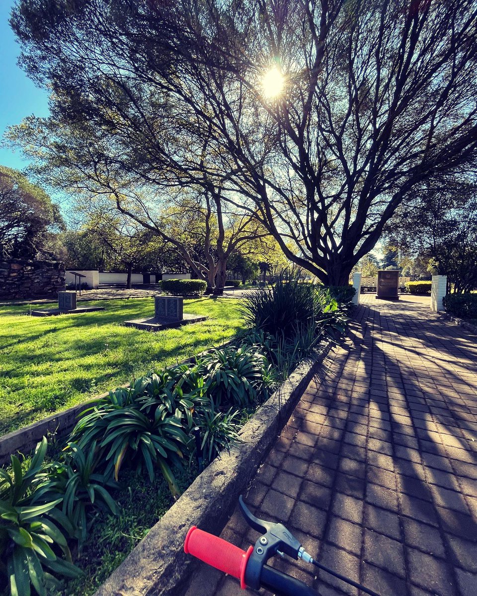 Neeksie's tweet photo. I heard rumours of a cold front, so I grabbed an opportunity to soak up some sun before I hibernate. It’s beautiful seeing the greenery peeking out between the autumn colours. ☀️🍁🍂

#afternoonrun 
#soakingupthesun 
#healthyhabits 
#outdoors 
#manifestingmybestlife https://t.co/RGBHApXFnP