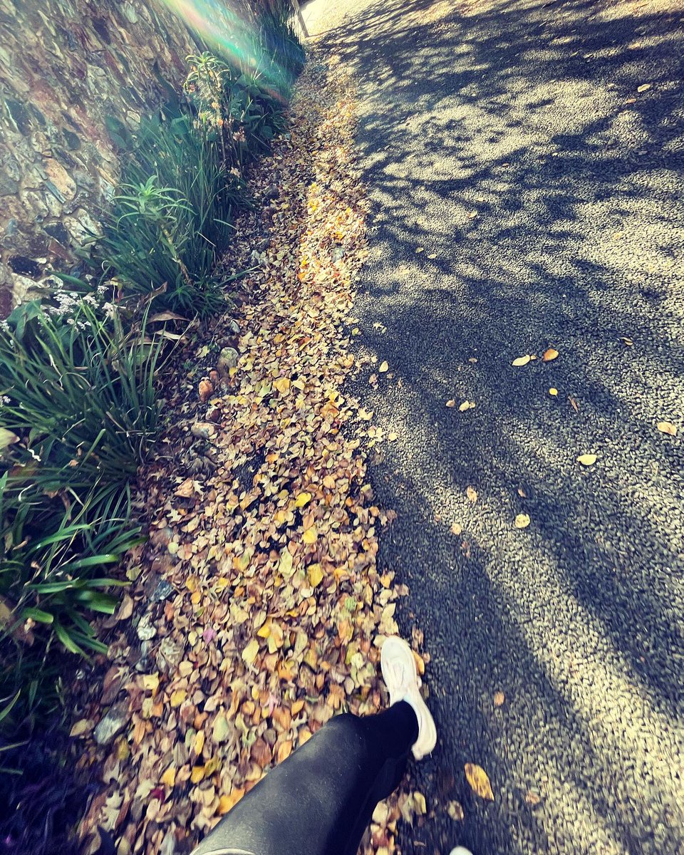 Neeksie's tweet photo. I heard rumours of a cold front, so I grabbed an opportunity to soak up some sun before I hibernate. It’s beautiful seeing the greenery peeking out between the autumn colours. ☀️🍁🍂

#afternoonrun 
#soakingupthesun 
#healthyhabits 
#outdoors 
#manifestingmybestlife https://t.co/RGBHApXFnP