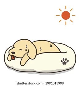 gosnetfigueres's tweet photo. Síntomas del golpe de calor en un perro
Las encías y la lengua pasan a tener un color rosa más intenso que habitualmente. Su saliva suele ser más espesa y podemos apreciar a veces que los ojos parezcan más saltones. Podemos detectar confusión, ansiedad .. https://t.co/yzosHXxUYh