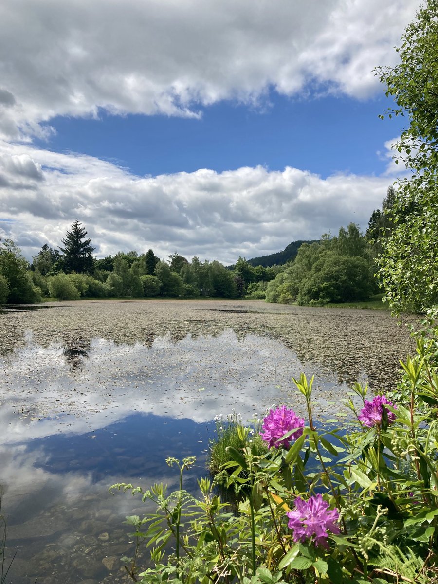 Roy stewart (@envirosaint) on Twitter photo Along the Tay at Dunkeld & Polney Loch on a stunning day with a wee stop at <a href="/aranbakery/">ARAN Bakery</a>
<a href="/LovePerthshire/">Love Perthshire</a> <a href="/PerthshireMag/">The Perthshire Magazine</a>
<a href="/VisitScotland/">VisitScotland</a> Along the Tay at Dunkeld & Polney Loch on a stunning day with a wee stop at <a href="/aranbakery/">ARAN Bakery</a>
<a href="/LovePerthshire/">Love Perthshire</a> <a href="/PerthshireMag/">The Perthshire Magazine</a>
<a href="/VisitScotland/">VisitScotland</a>