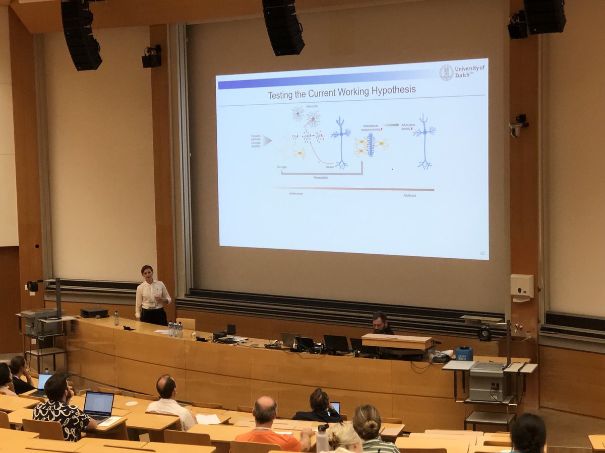 Very nice presentation of Sina-Maria Schabetter at ⁦<a href="/PNIRS/">PNIRS</a>⁩ meeting in Zurich. Microglia repopulation effect on microglia-neuron interactions and behavior ⁦
