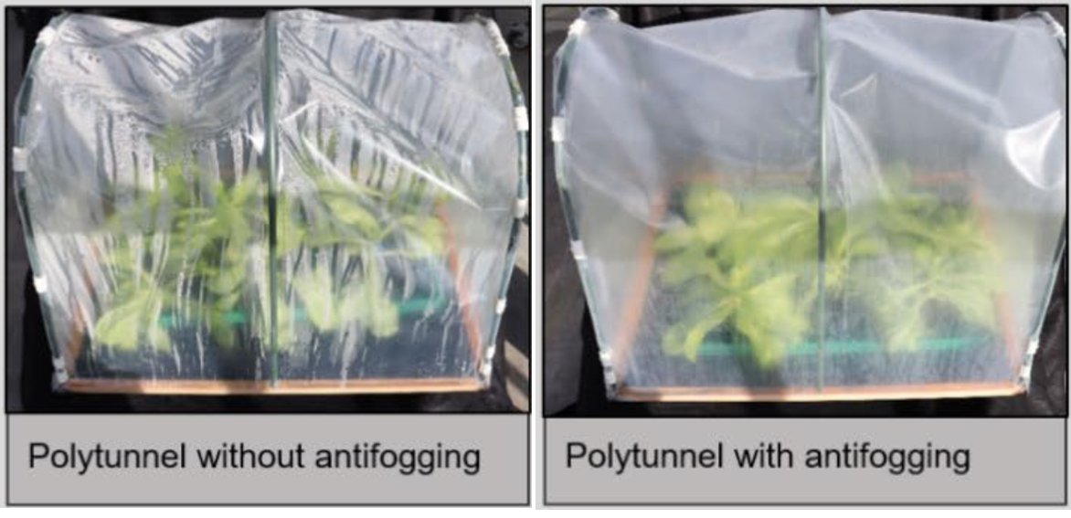 Journal of Applied Botany and Food Quality tweet media