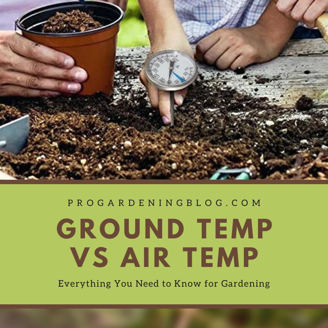 Ground Temp Vs Air Temp: Everything You Need to Know for Gardening
Read Now >> progardeningblog.com/soil-temperatu…

 #groundtemp  #airtemp  #progardeningblog  #gardeningtips #gardeningtipsandtricks #gardeningtipsforbeginners  #gardeningblog #gardeningblogs #gardeningblogger #gardeningusa