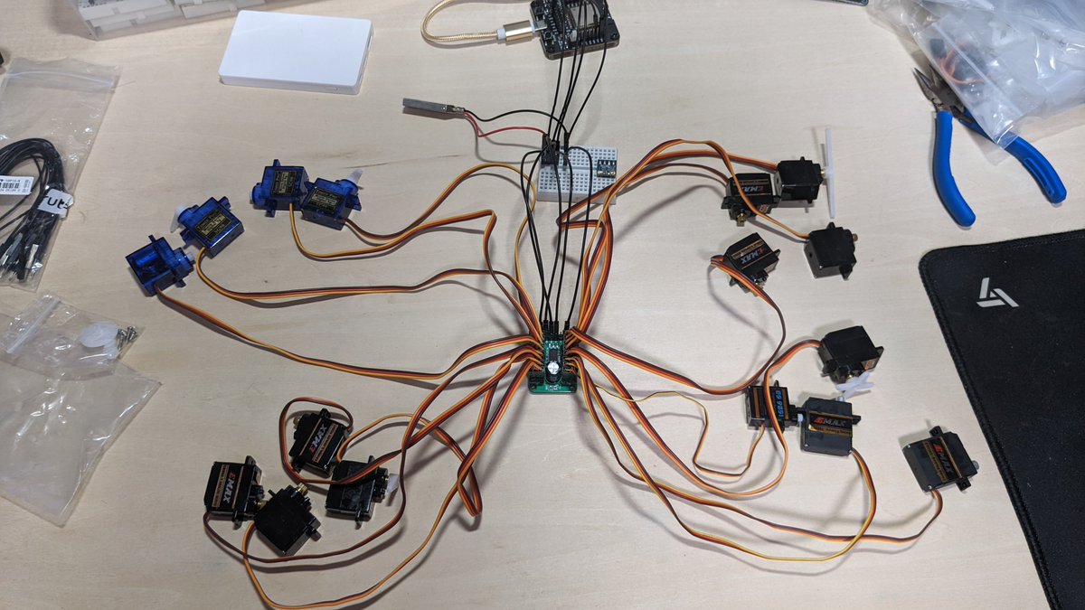 PONDA_make's tweet image. モジャモジャしてる！