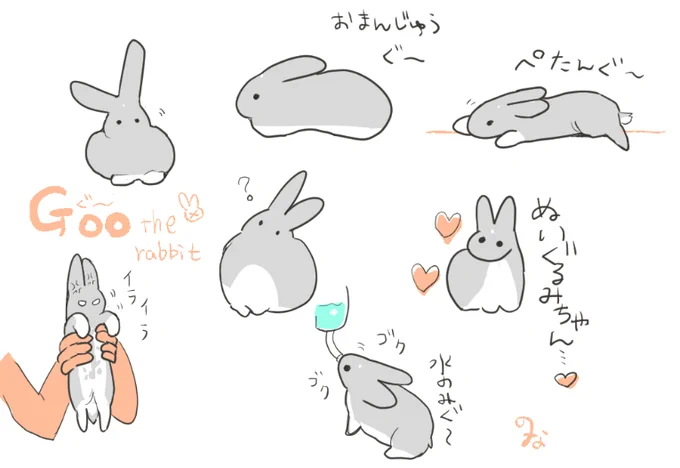 新刊がでない場合 自分ちのうさぎ本でも出すか 