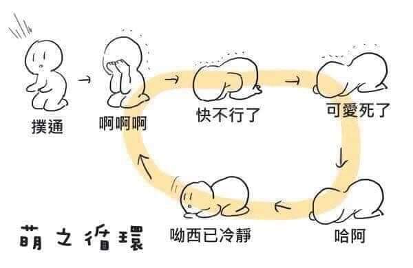 穹宝又去哪儿了 tweet media