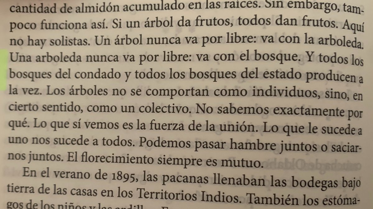 Gabrielaespiral's tweet photo. 🖊️ Robin Wall Kimmerer, "Una trenza de hierba sagrada", Capitán Swing. 🌳🌳 https://t.co/nJk9V4Pe6s