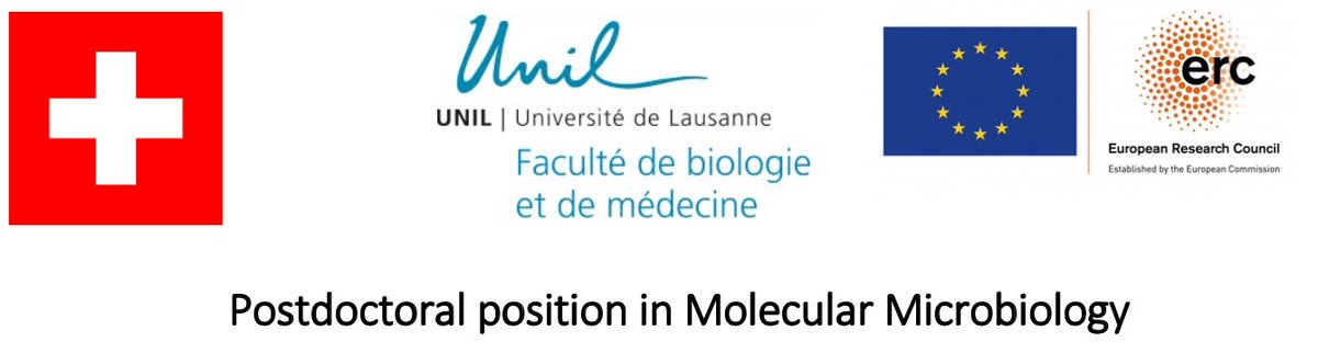 NikoGeldner's tweet photo. We are still searching for a Molecular Microbiologist (!) for an ERC-financed postdoctoral position in my group at the Department of Plant Molecular Biology of the University of Lausanne @unil . https://t.co/nERSaV0hU5