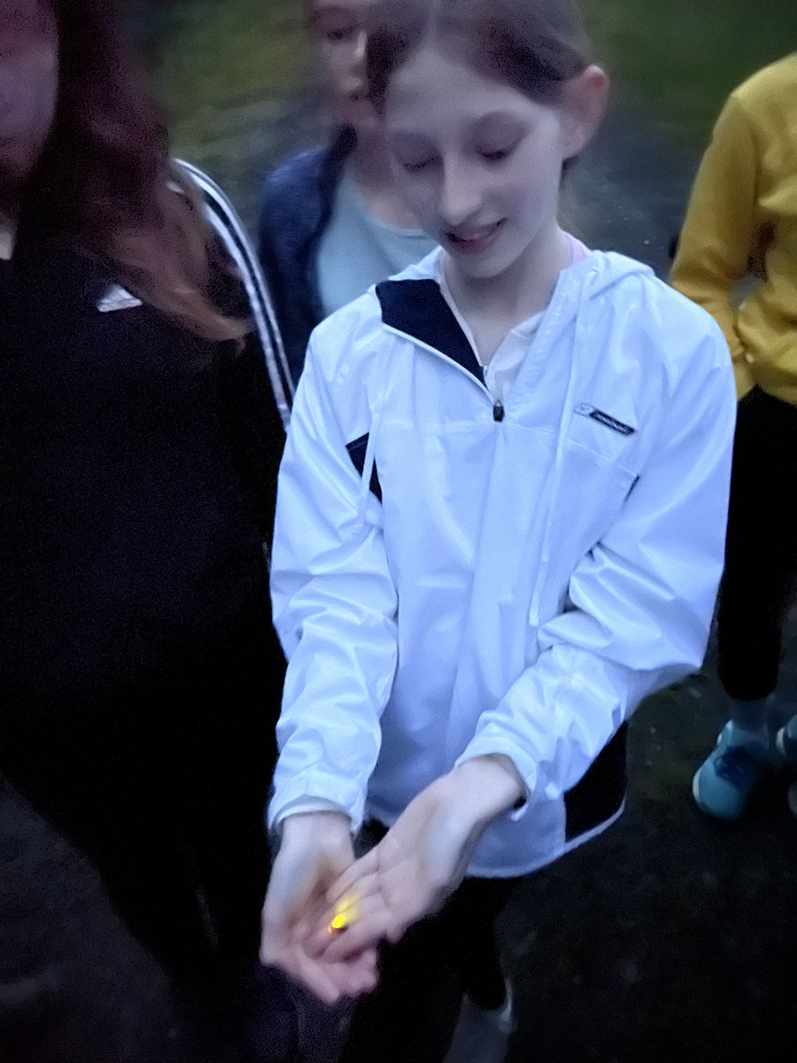 MrsMannionJMS's tweet photo. Amazing to be back at the farm with year 8. 8MCW / GSR were brilliant, such fun and good times had! https://t.co/s6rsi8jOIA