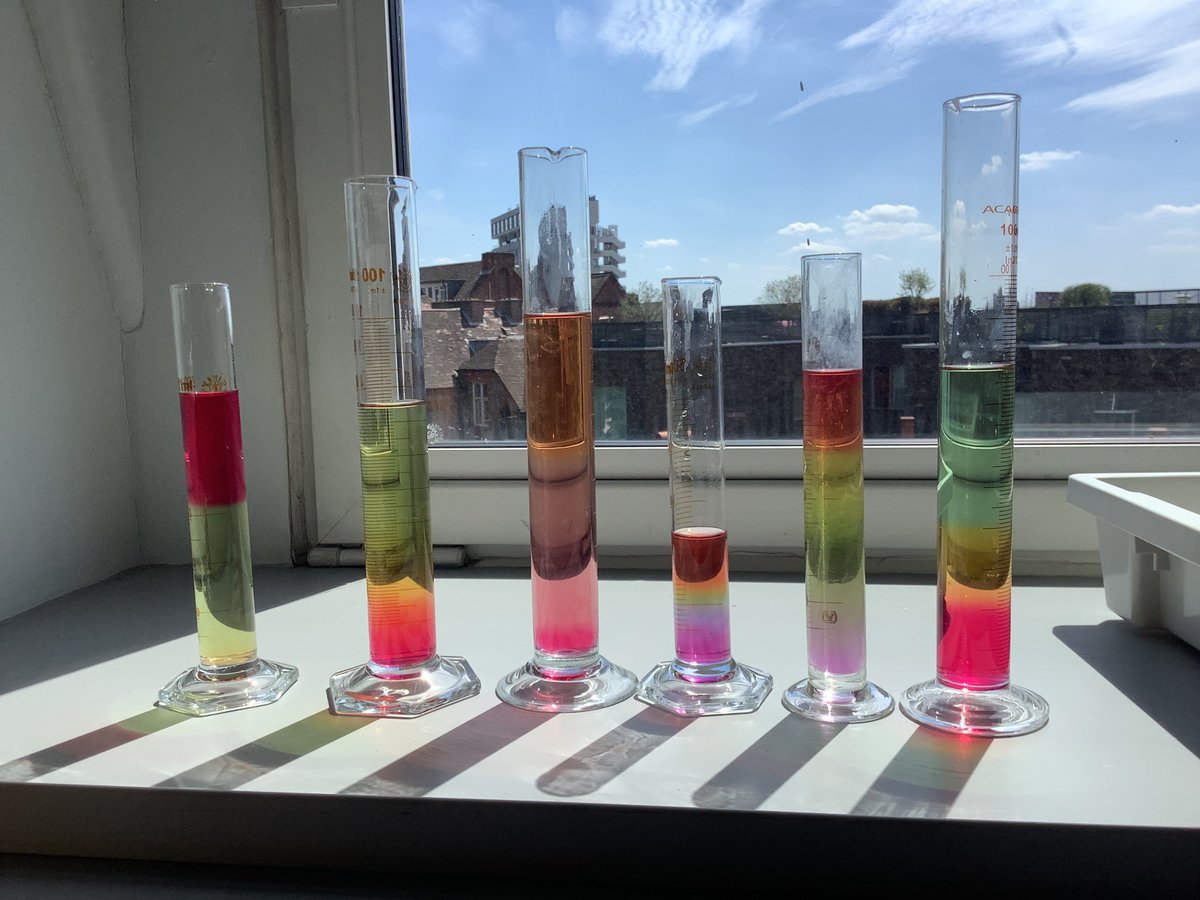 In today's Science Club, pupils learned about density by making colourful, saltwater density rainbows! 🌈#mehrlicht #openingminds