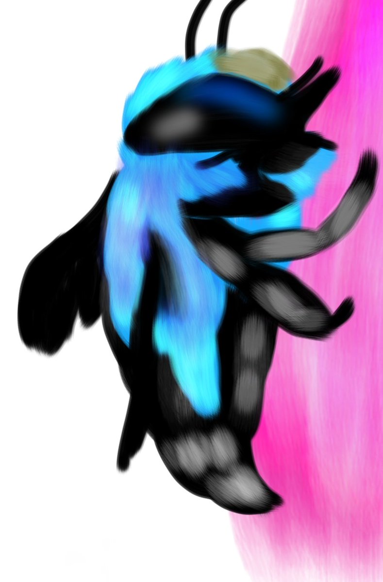 Drew a blue carpenter bee