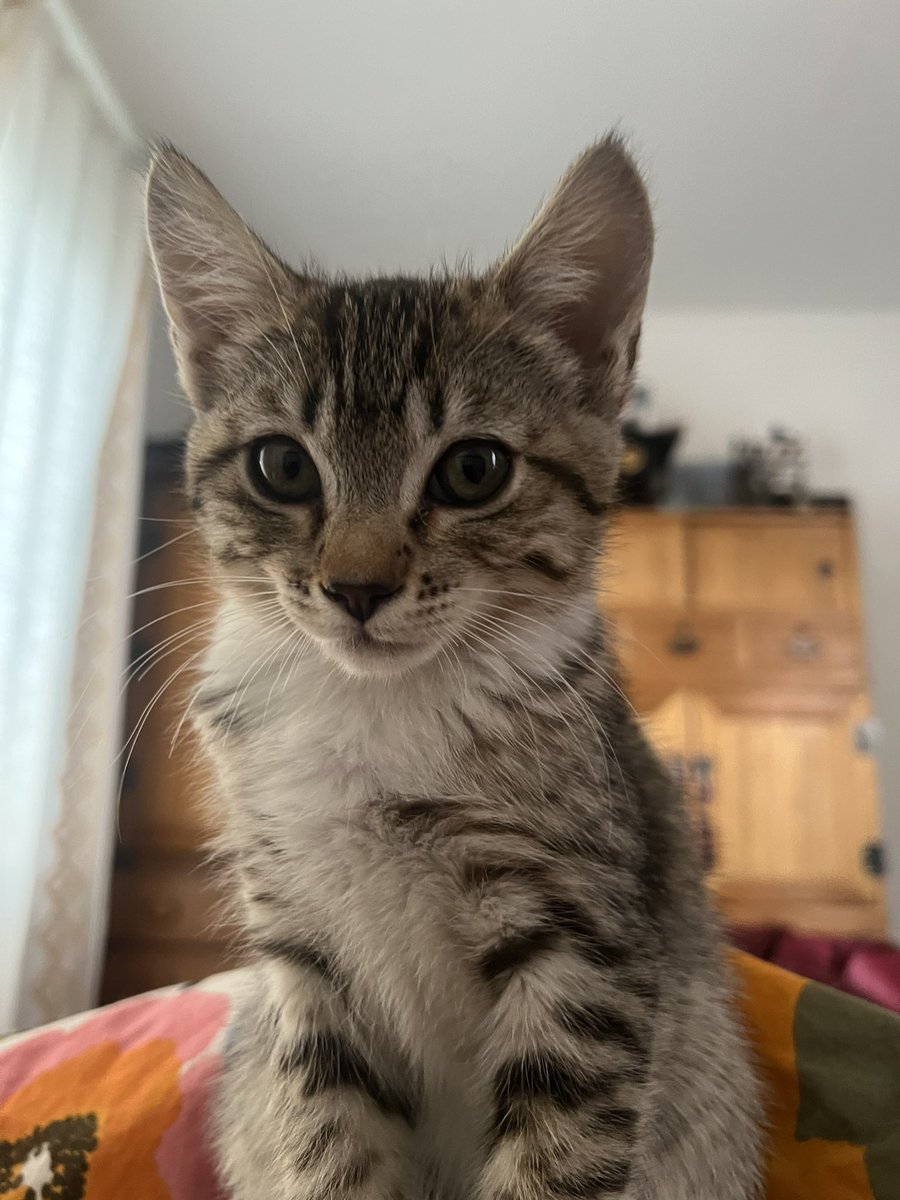 artpm's tweet image. POV me rn