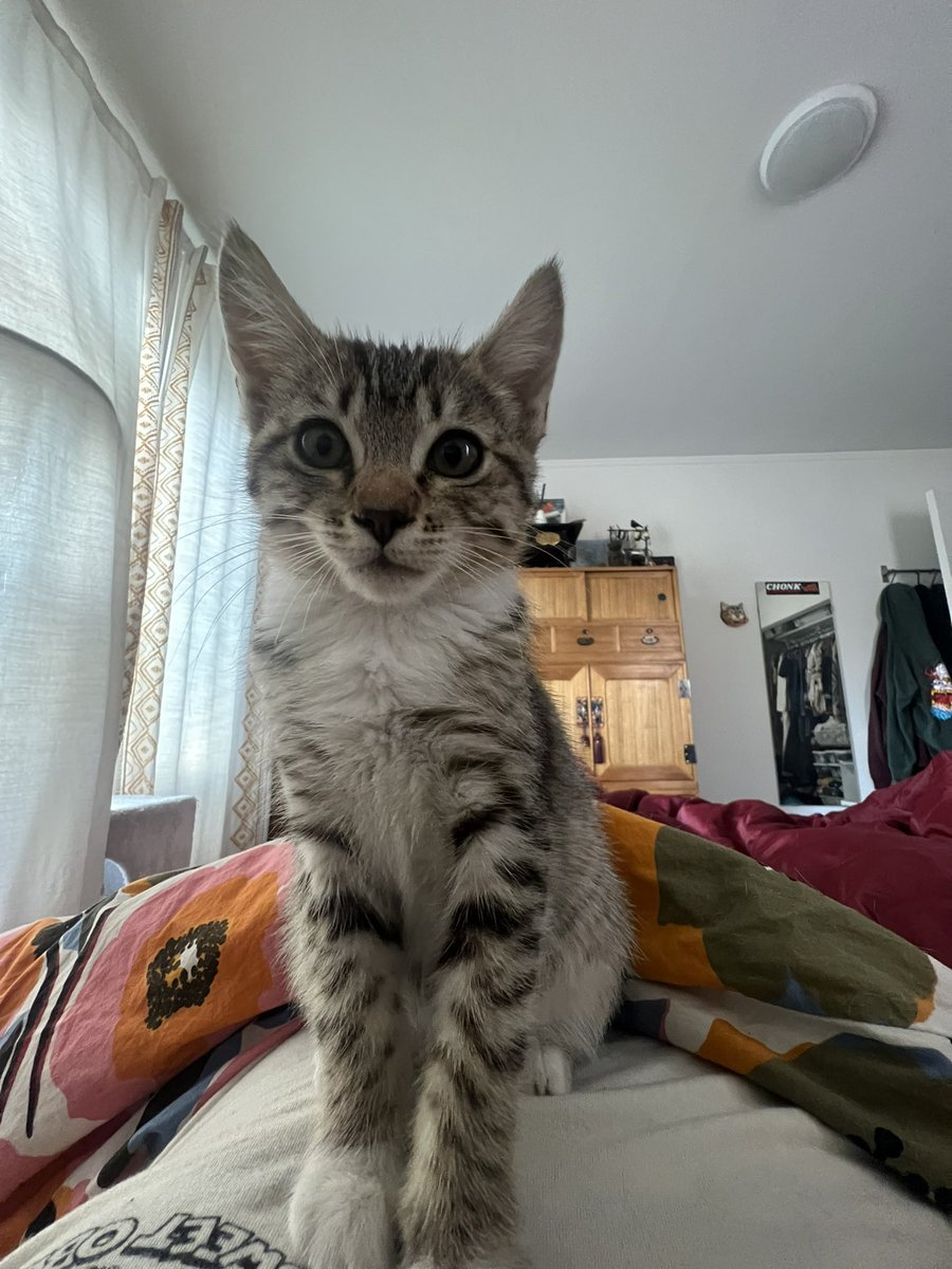 artpm's tweet image. POV me rn