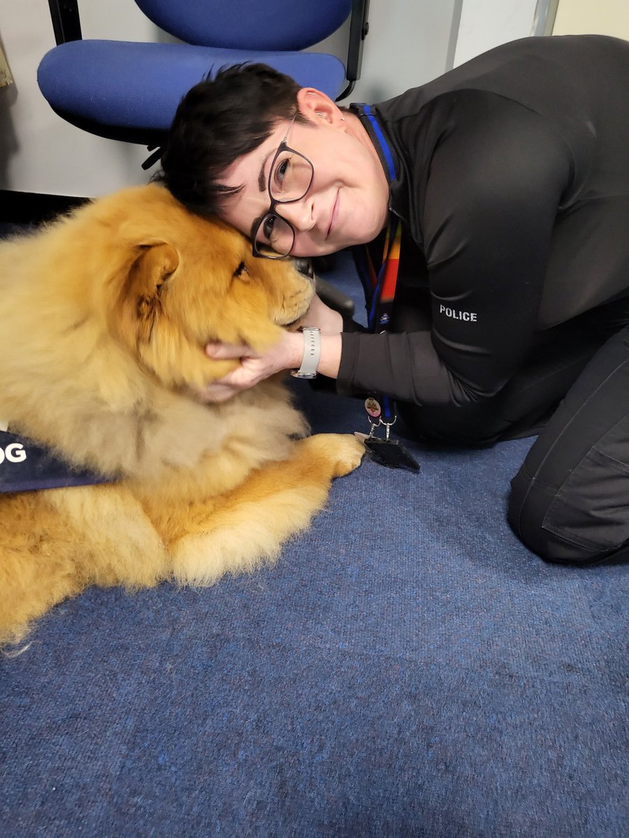 Even Supts need a well-being cuddle sometimes 🥰 Thank you Theodore from the  <a href="/NPWellbeingDogs/">Northants Police Wellbeing Dogs</a> team and <a href="/SecretPSGoddess/">Secret PS Goddess</a> for bringing him in to support #ResponsePolicingWeek