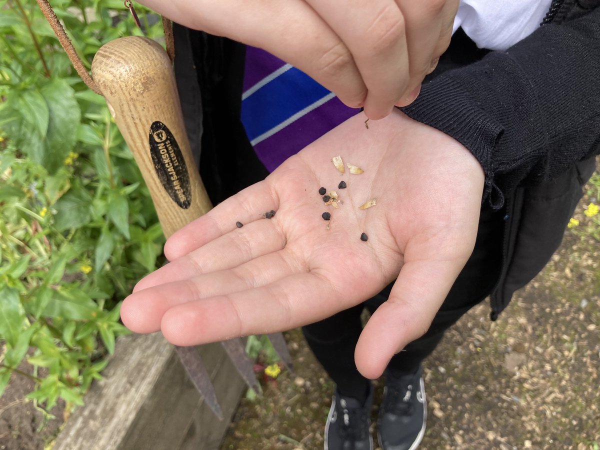 Lorna Sloan tweet media