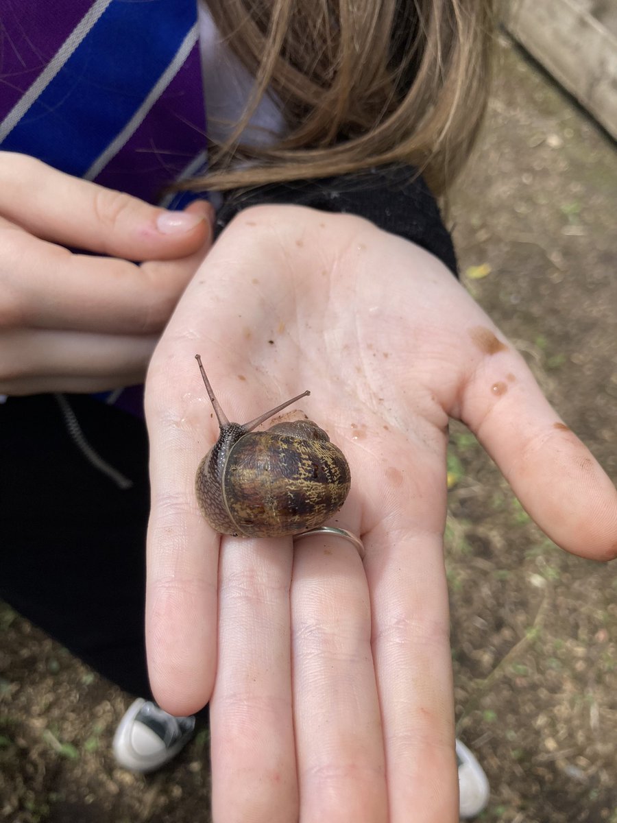 Lorna Sloan tweet media